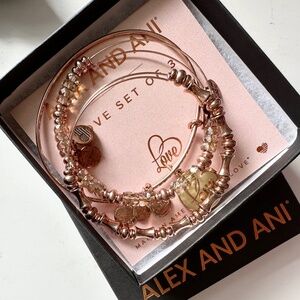 RARE Vintage Alex and Ani Love Rose Gold Bangle Set of 3